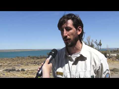 Portada video