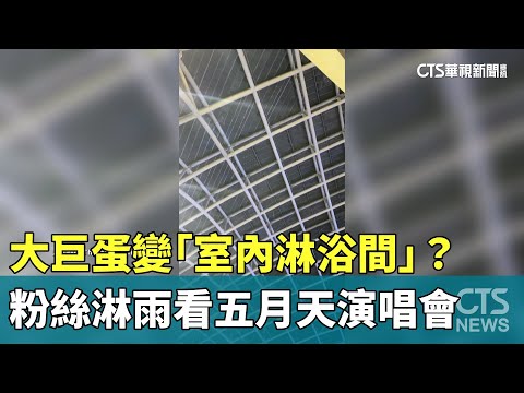 大巨蛋變「室內淋浴間」？　粉絲淋雨看五月天演唱會