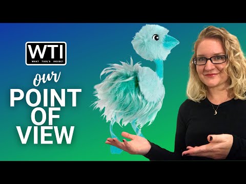 KONG Frizz Bird Cat Toys - WTI product video review