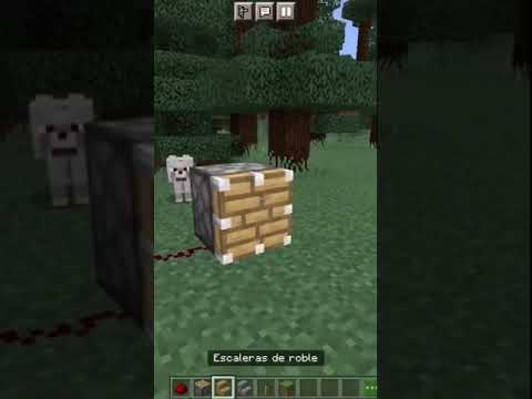 Minecraft: the coolest things #shorts #minecraft  #1386