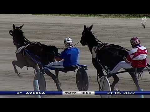 Aversa trotto 21 Maggio 2022 - 3° Corsa