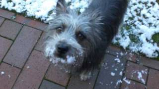 Kastelruther Spatzen - Das Mädchen mit den erloschenen Augen