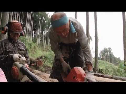 YouTube Preview Image