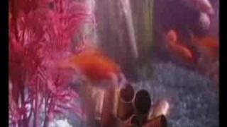 the coup - funk ( HQ )