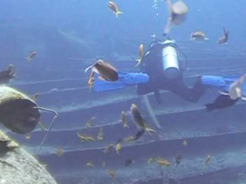 Red Sea Safari - Episode 7