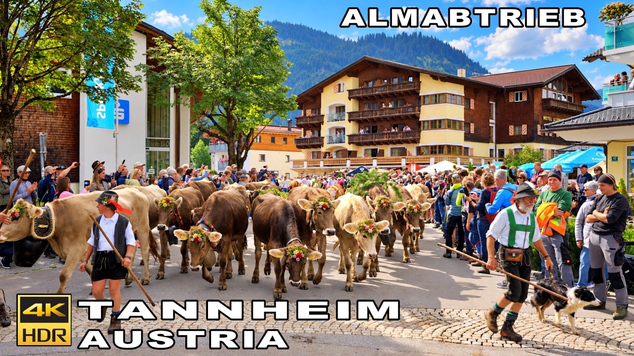 Tannheim Cow Parade Austria 2026 🇦🇹 700 Animals !! | Full-Day At Almabtrieb Festival 4K 60 fps