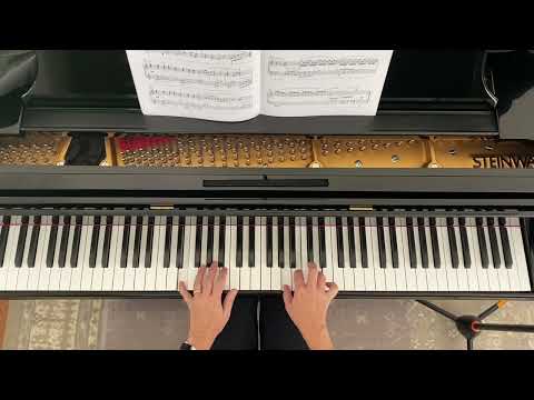 Night Shadows by Melody Bober