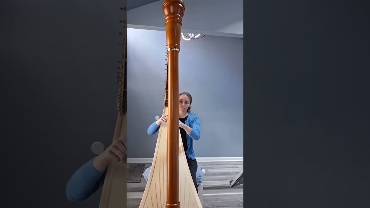 Promotional video thumbnail 1 for Melissa White Harpist