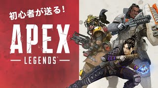 ［APEX］初心者が送る！チャンピオン！！