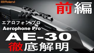 Roland AE-30 Aerophone Pro ケース ヘッドホン 交換用マウスピース 