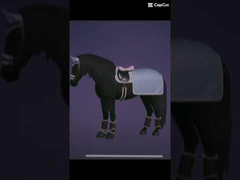 Noch 38 und 26 Tage #sso #sterstallion #horse #equestrianjourney #edit #etg