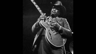 Otis Rush - I Got The Blues