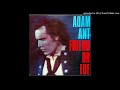 Crackpot History And The Right To Lie - Adam Ant
