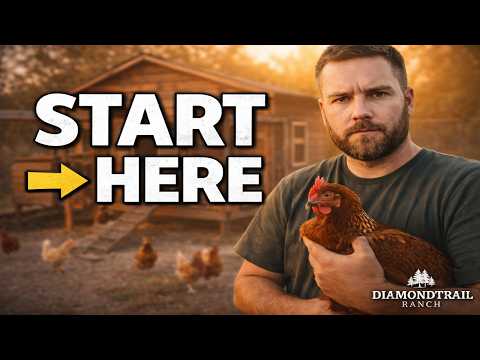 The Complete Guide to Backyard Chickens (Start to Finish)