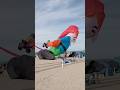 KITE FESTIVAL CERVIA RAVENNA ITALY