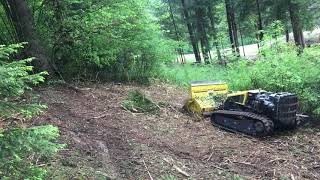 Mulčenje grmičevja 051330862