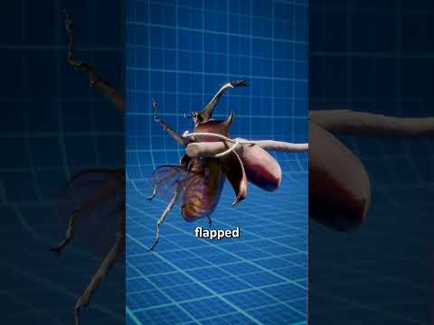 How A Bug-Powered Helicopter Works 😳