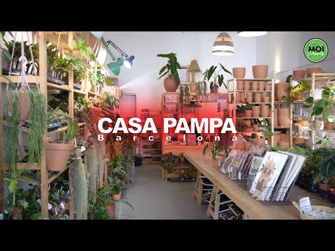 I visit CASA PAMPA, a beautiful flower shop in Barcelona