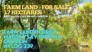 #vlog239 FARM LOT FOR SALE IN BRGY MAGSAYSAY INFANTA QUEZON 3.7 HECTARES 250 PER SQM