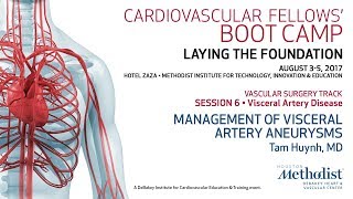Download Lagu Management of Visceral Artery Aneurysms (Tam Huynh, MD) Thumbnail