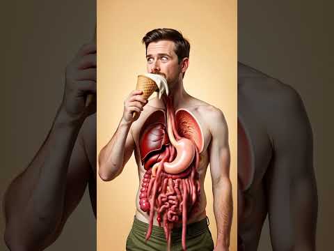 The Amazing DIGESTIVE JOURNEY of Ice Cream