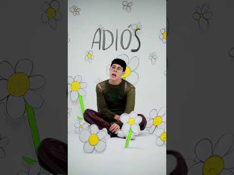 adios... (cap 6) visualizer