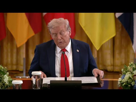 Trump says Putin accepts Western security guarantees for Ukraine | AFP