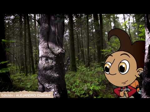 ECOSISTEMA MATORRALES | BY ALEJANDRO