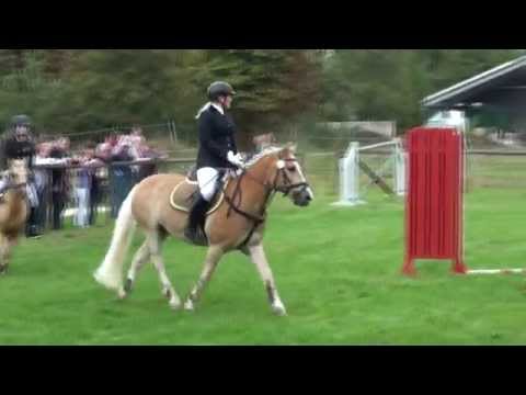 Angy & Felix Springreiterwettbewerb Bodelshausen 20.09.15