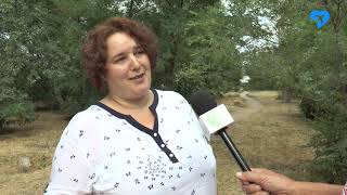 Чтобы город был краше (26.06.2019)