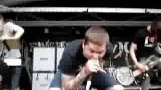 The Devil Wears Prada Dogs Can Grow Beards All Over, warped