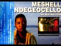 Me'shell Ndegeocello Live @ Cenon Le Rocher De Palmer 30.05.2012 - Satisfy 8/15