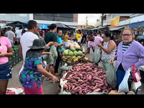 Feira de umari de bom jardim Pernambuco 26/04/2026 