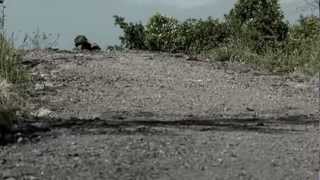 BANDA DE HERMANOS. FRANCIA