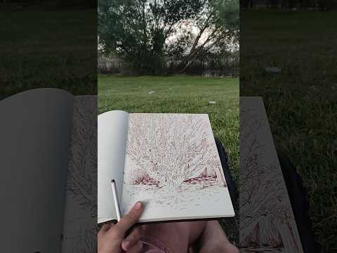 Estudiando en el dique de Tandil, Buenos Aires, AR - 2024 #artwork #study #artist