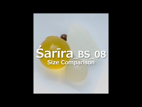 Legado de Buda_BS_08