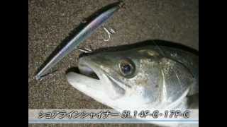 DAIWA SHORE LINE SHINER SL 14 F-G