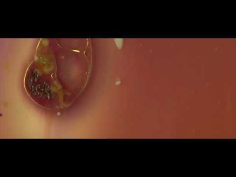 nastroje - smak zabajony (official video)