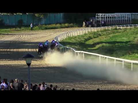 16.10.2022 - Trka V "SAINT LEGER"  - Hipodrom Beograd