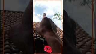 Download lagu njebeber😂 #shortvideo #shorts #memes #viral #meme #short #kocak #trending mp3 Download lagu njebeber😂 #shortvideo #shorts #memes #viral #meme #short #kocak #trending mp3