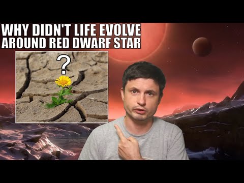 New Possible Reasons Why Life Did Not Evolve Around a Red Dwarf Star