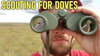 Scouting for Doves | Hunting Boot Camp