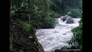 Thru the raging River--Johnny Rowlett