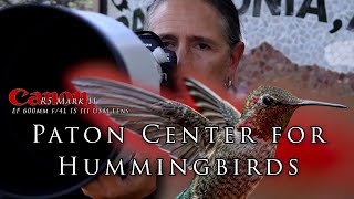 Paton Day two - thoughts on the R5 MK II, what to bring when you come. More than just hummingbirds!