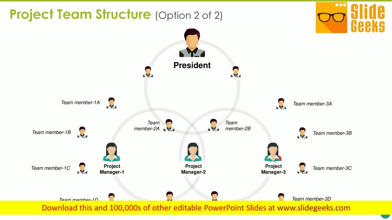 Project Team Structure Template Ppt Powerpoint Presentation Outline Graphic Tips