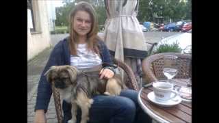 Reamonn - &quot;Josephine&quot; and &quot;Falling down&quot;