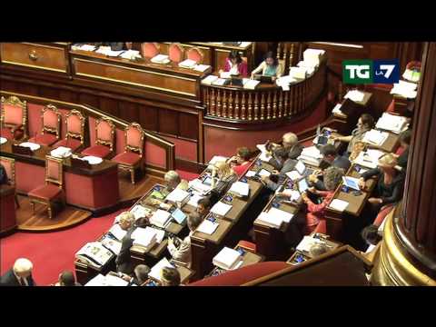 Edizione delle ore 20.00 del 31/07/2014