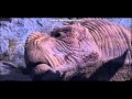 Prince John Tells Carnotaur Enough