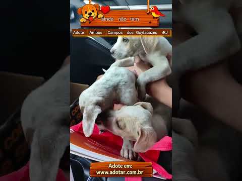Vídeo de ainda não tem 
