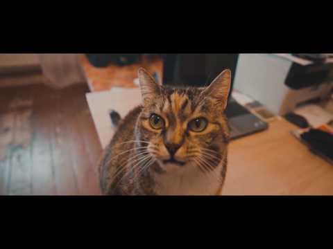 Fakts ft. Edgars Kreilis - Tikai Es (Oficiālais Tīzeris)